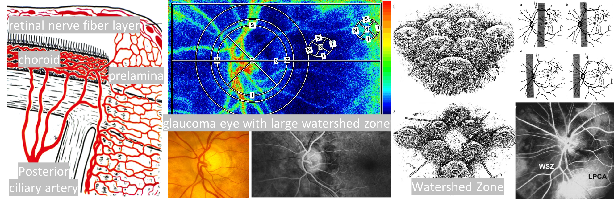 Use of ocular blood flow to test new treatments