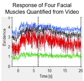 Responses of four facial muscles quantified from video