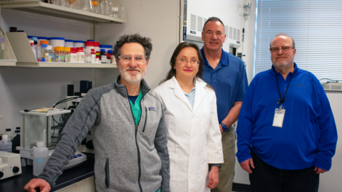 Greiner Lab Team